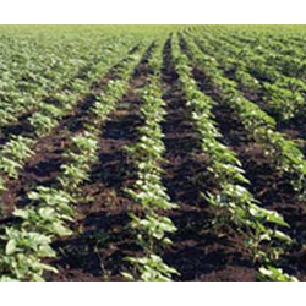 Urea Formaldehyde Concentrate - UFC 85